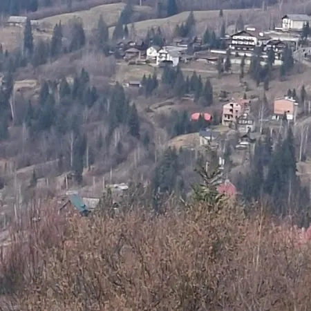 Daire біля лісу апартименти з двома спальнями *