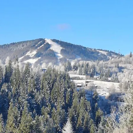 Daire біля лісу апартименти з двома спальнями Slavske