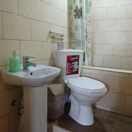 біля лісу апартименти з двома спальнями * Slavske